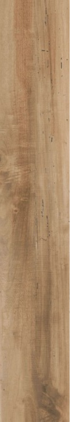 Image of Earthline Teak