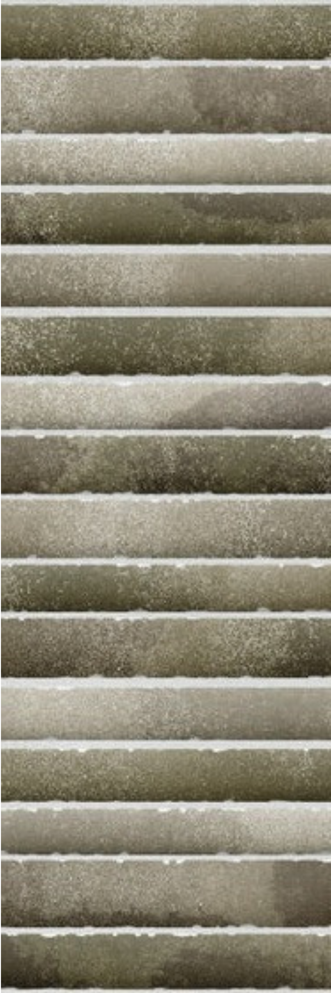 Image of Kitkat Aloe Vera
