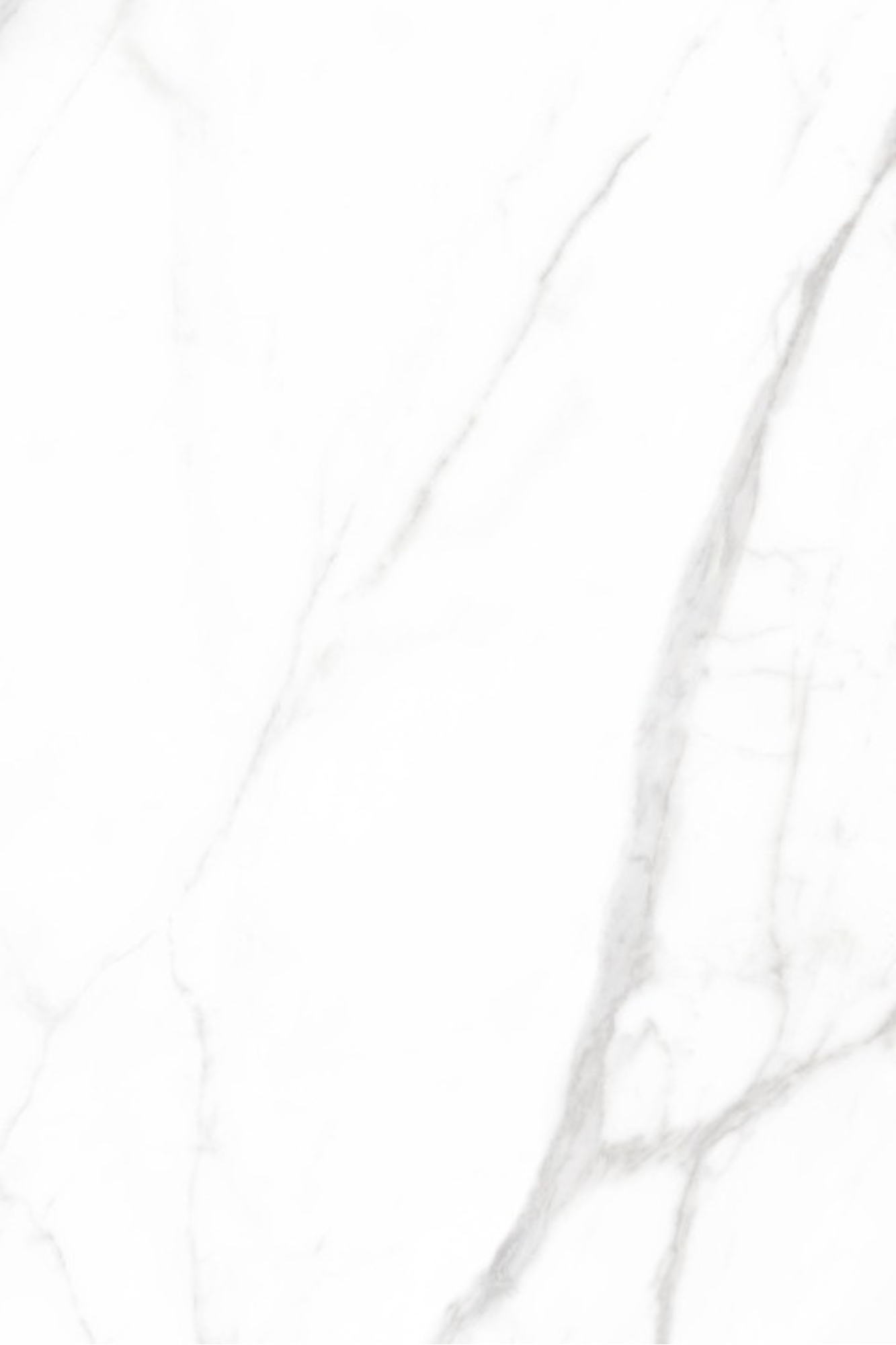 T21 Design Studio®️