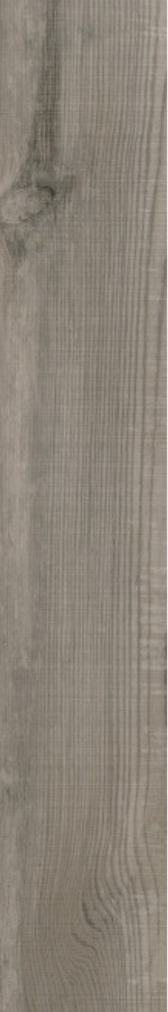Image of Silt Oak