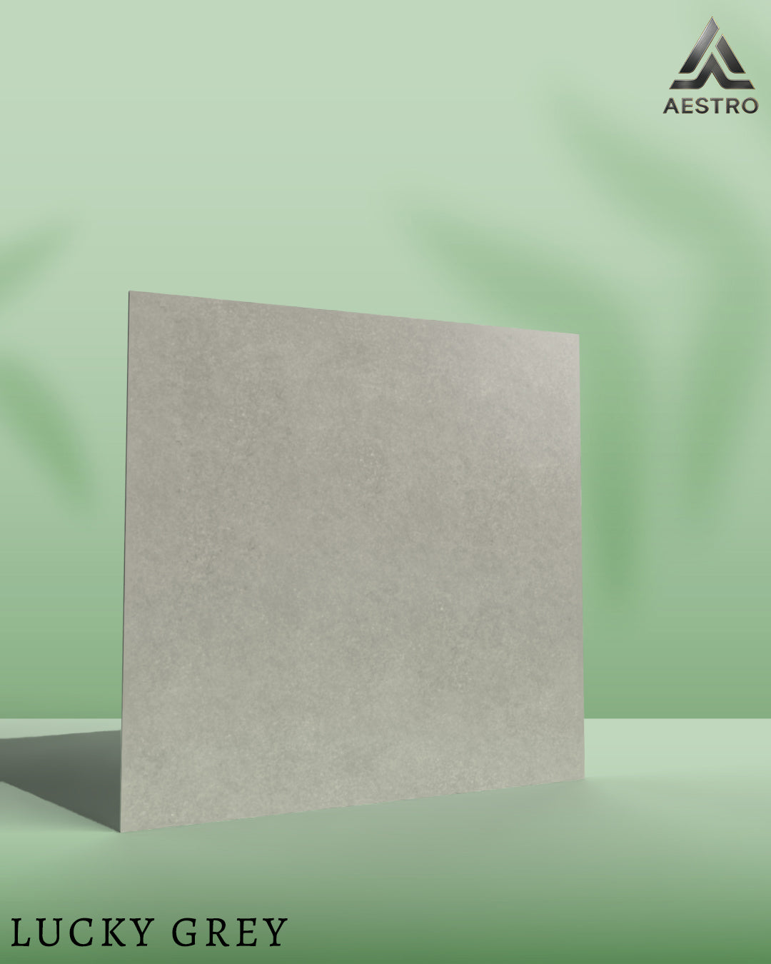 T21 Design Studio®️