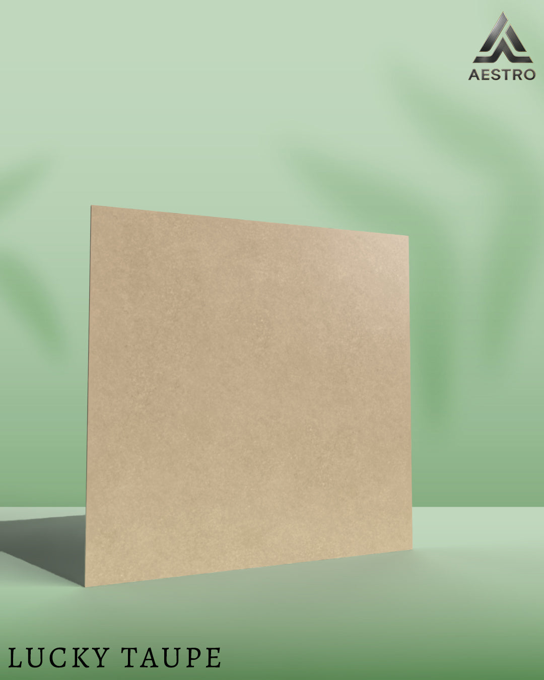 T21 Design Studio®️