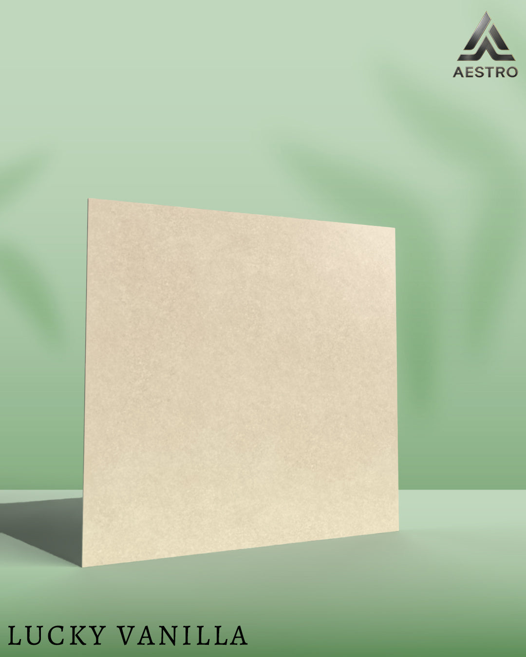 T21 Design Studio®️