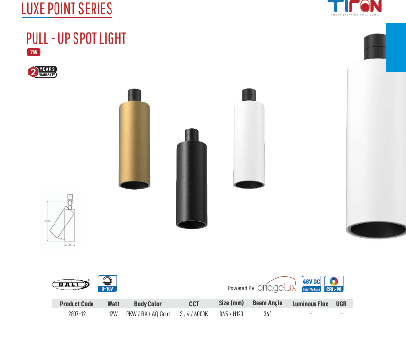 Image of Luxe Point Pull-Up Spot Light