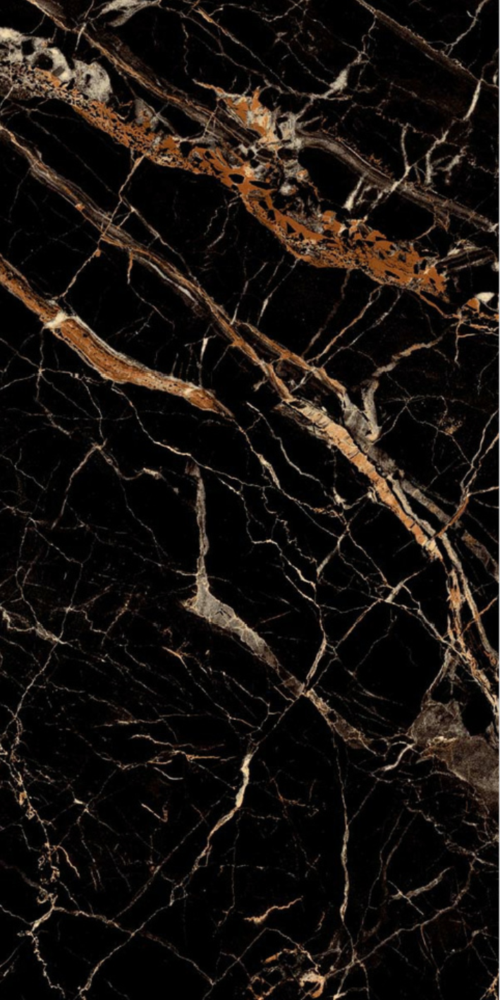 Image of Terrific Black