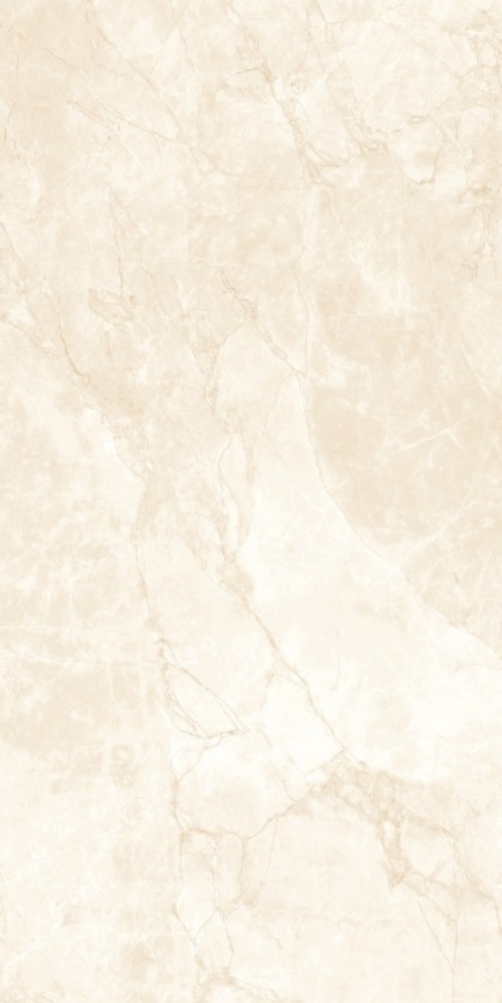 Image of Florida Fusion