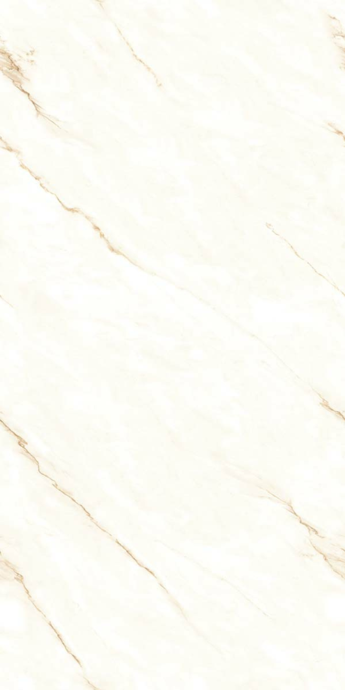 Image of Biscotti Veins