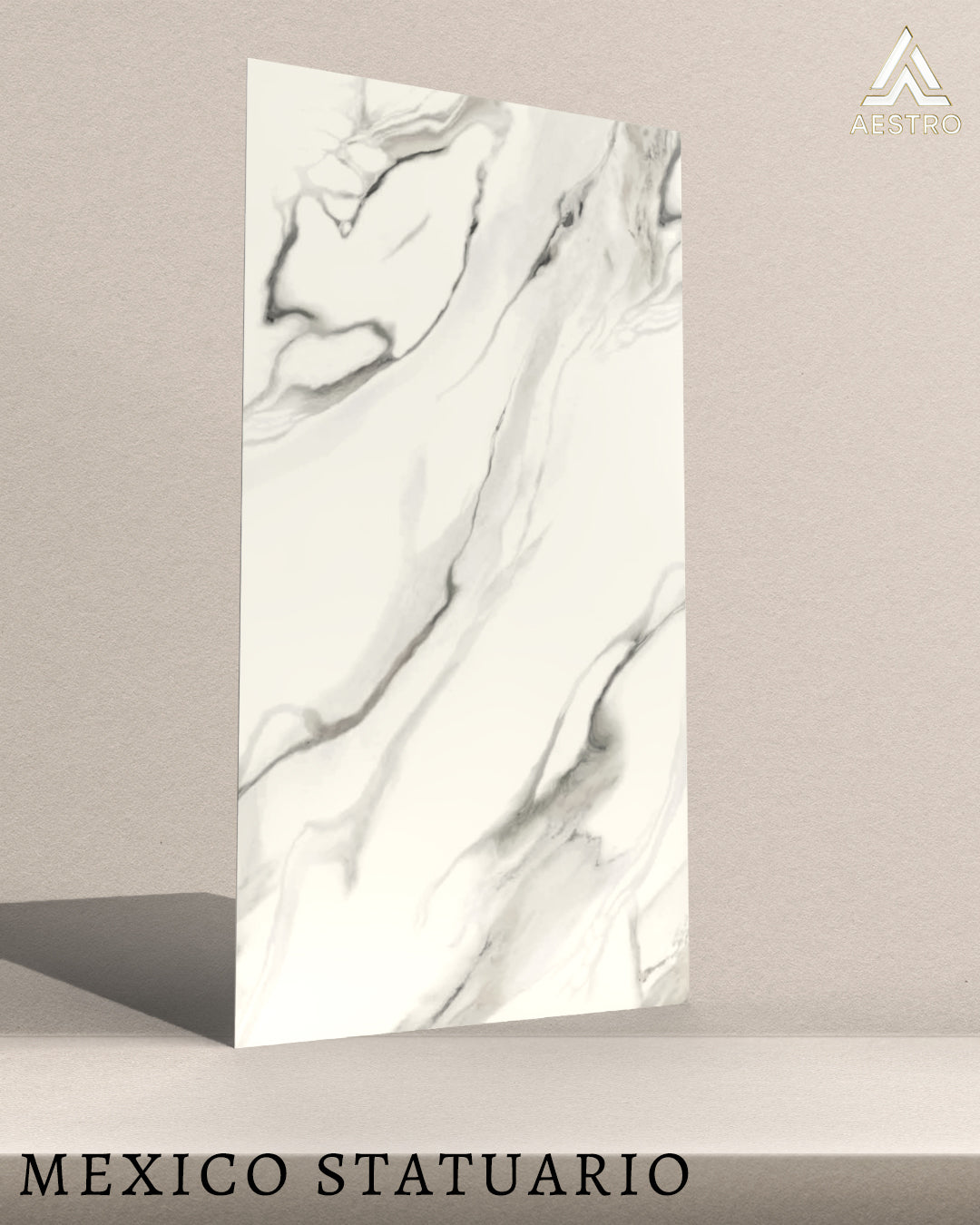 T21 Design Studio®️