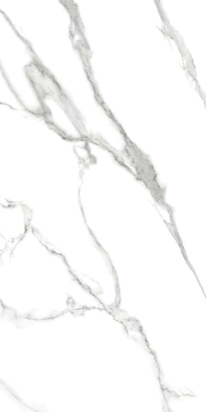 Image of Midnight Statuario