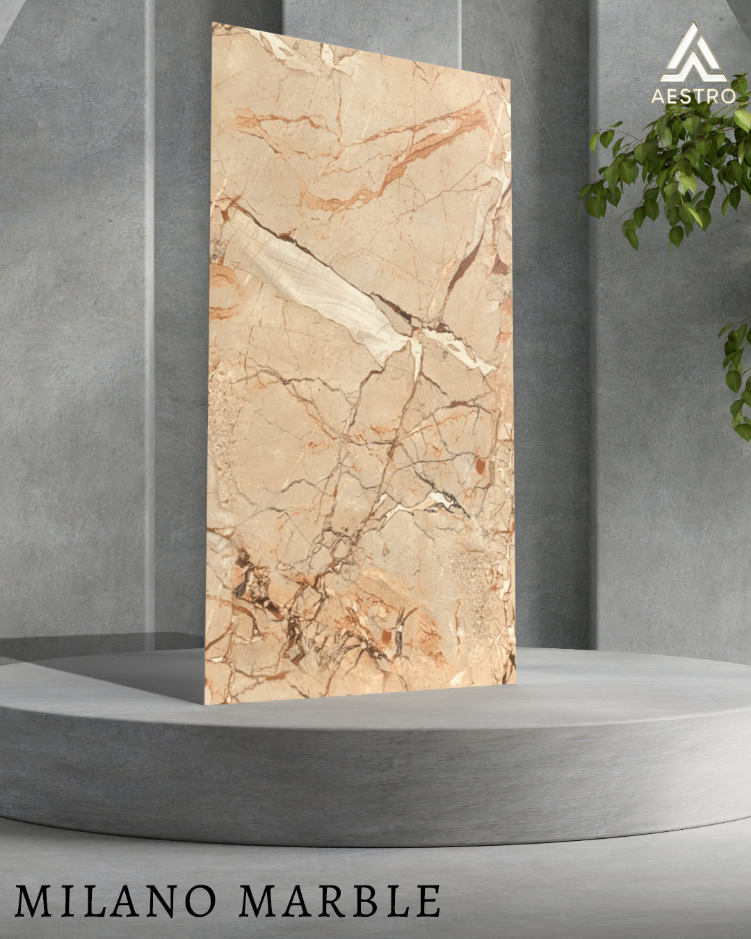 Image of Milano Marble
