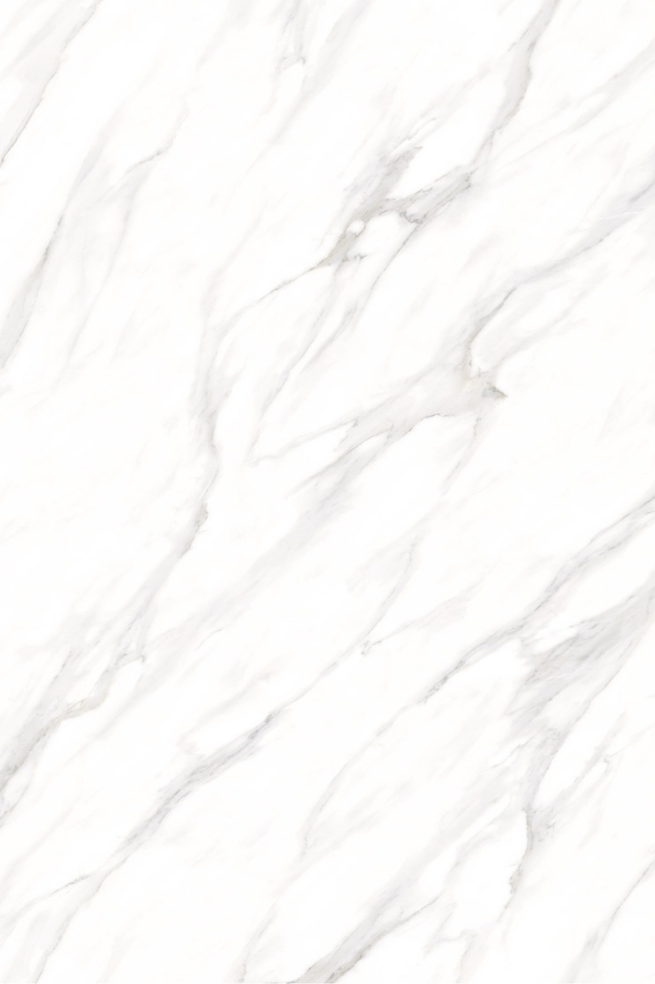 Image of Misty Carrara