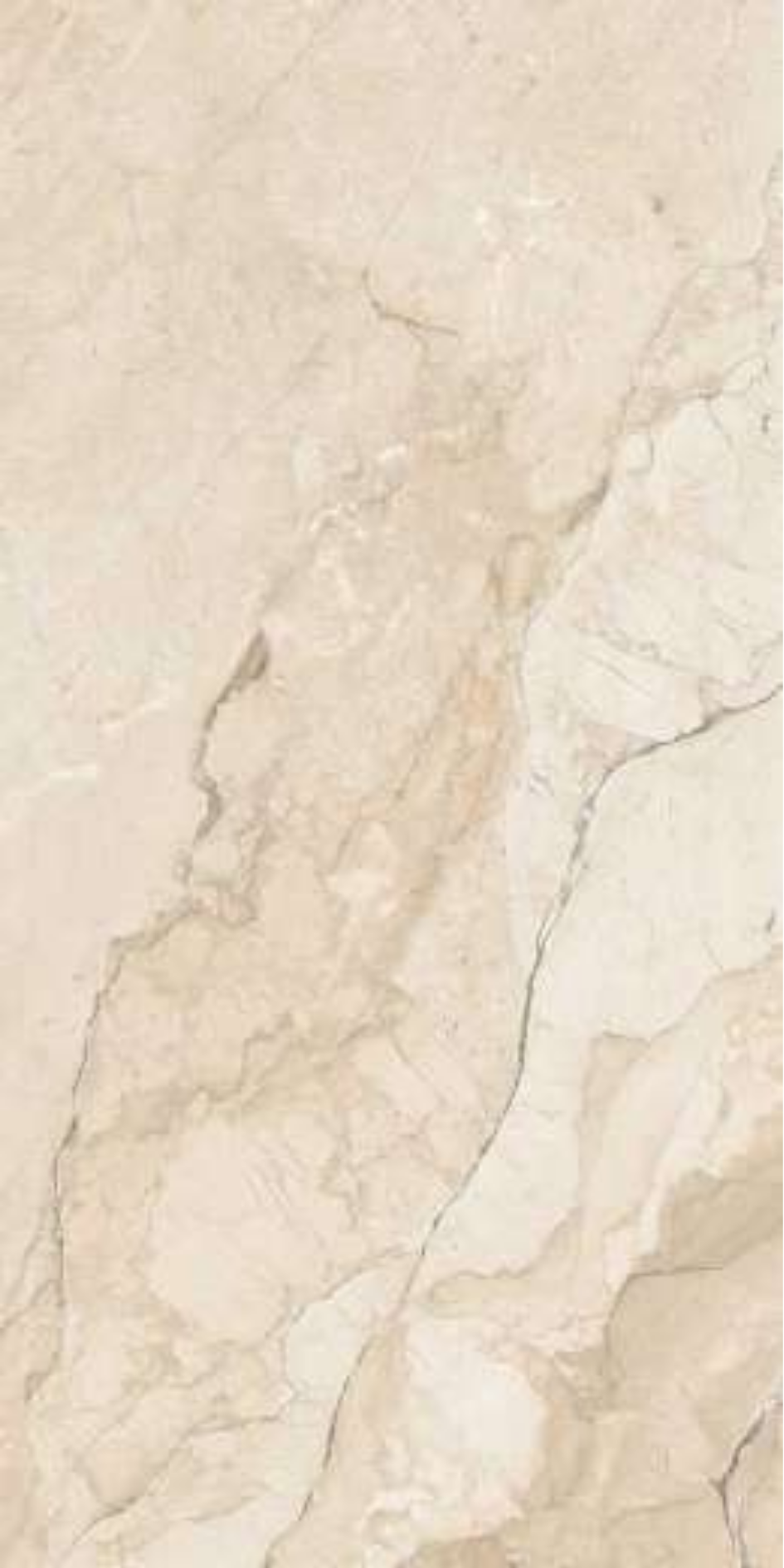 Image of Italian Avorio
