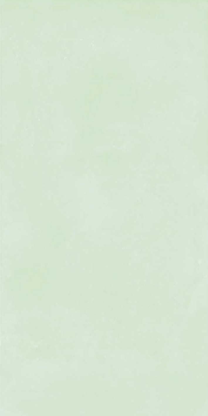 T21 Design Studio®️