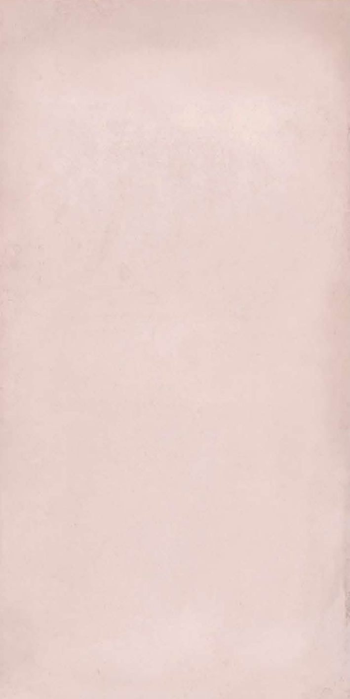 T21 Design Studio®️