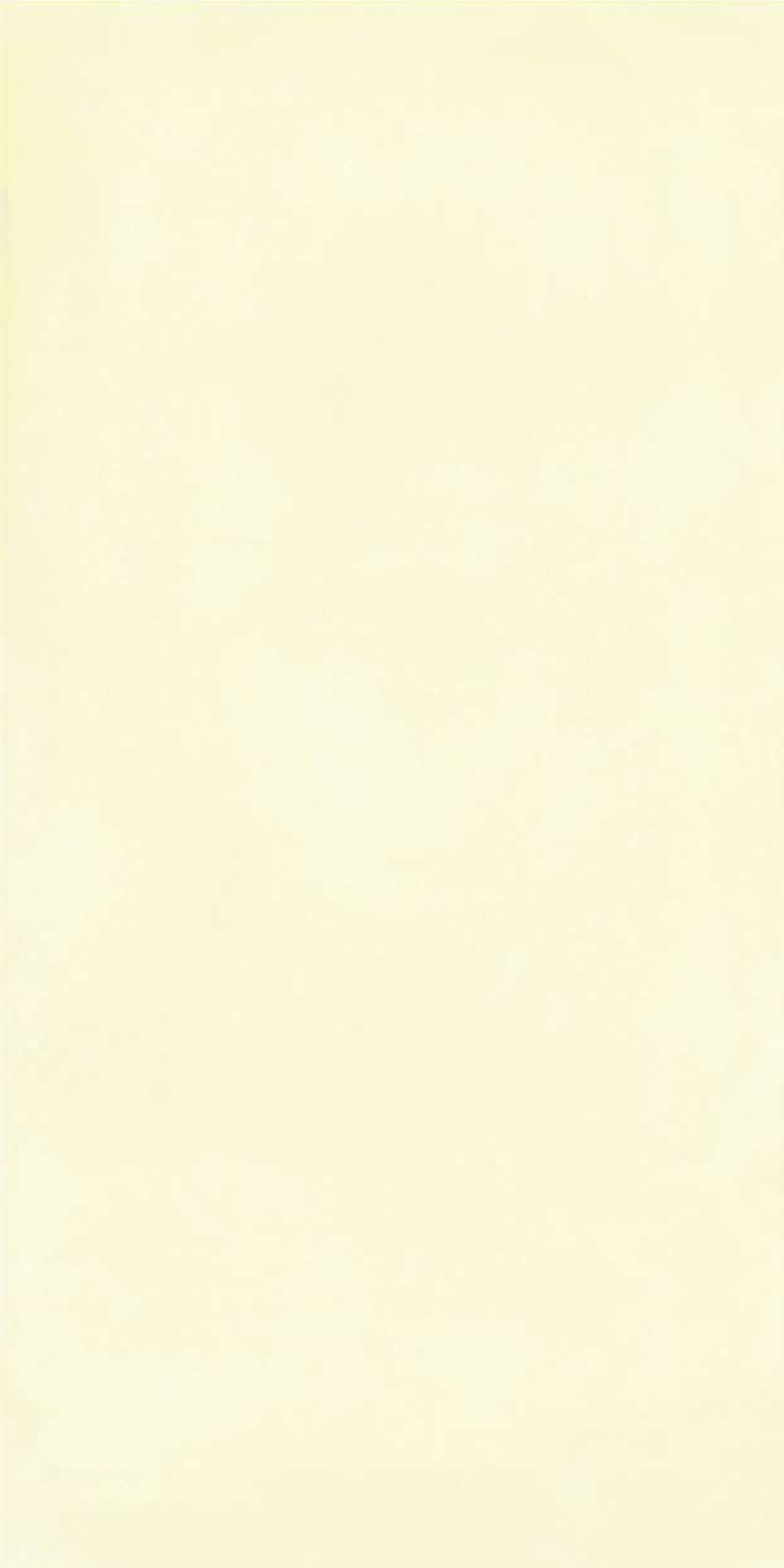 T21 Design Studio®️