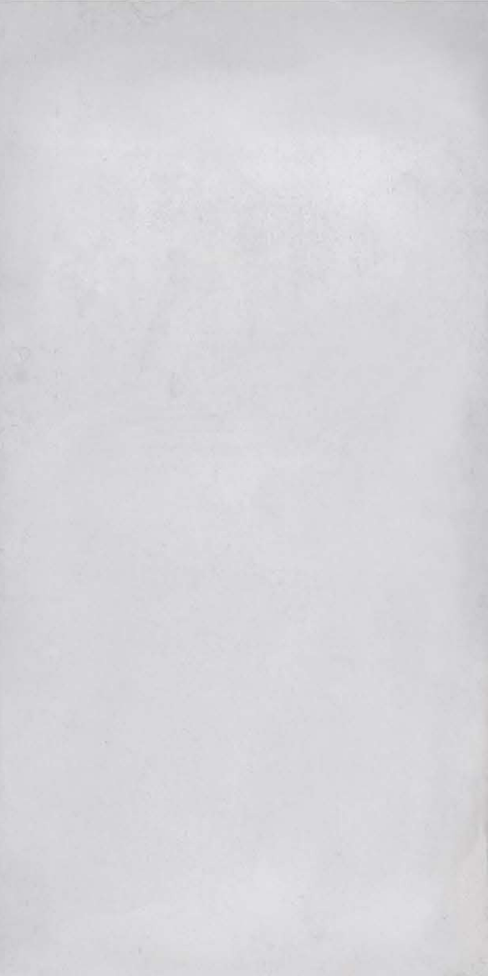 T21 Design Studio®️