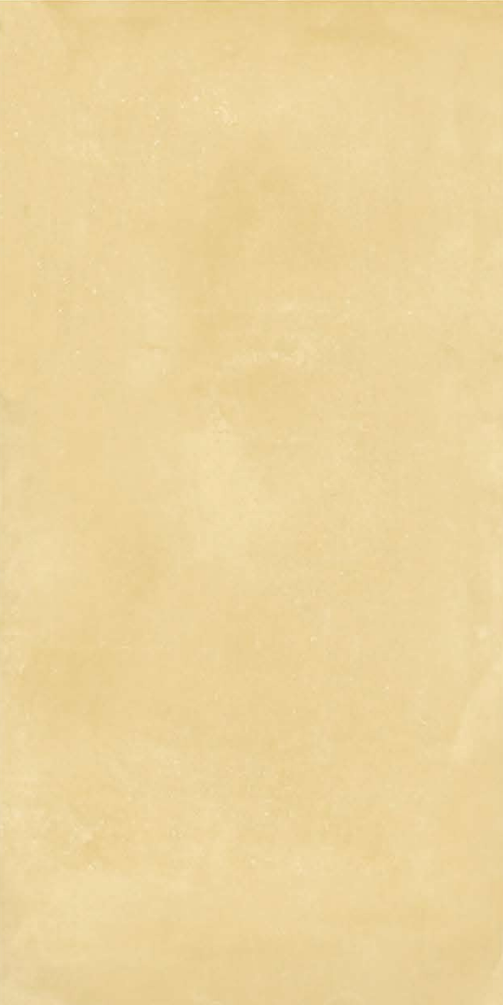 T21 Design Studio®️