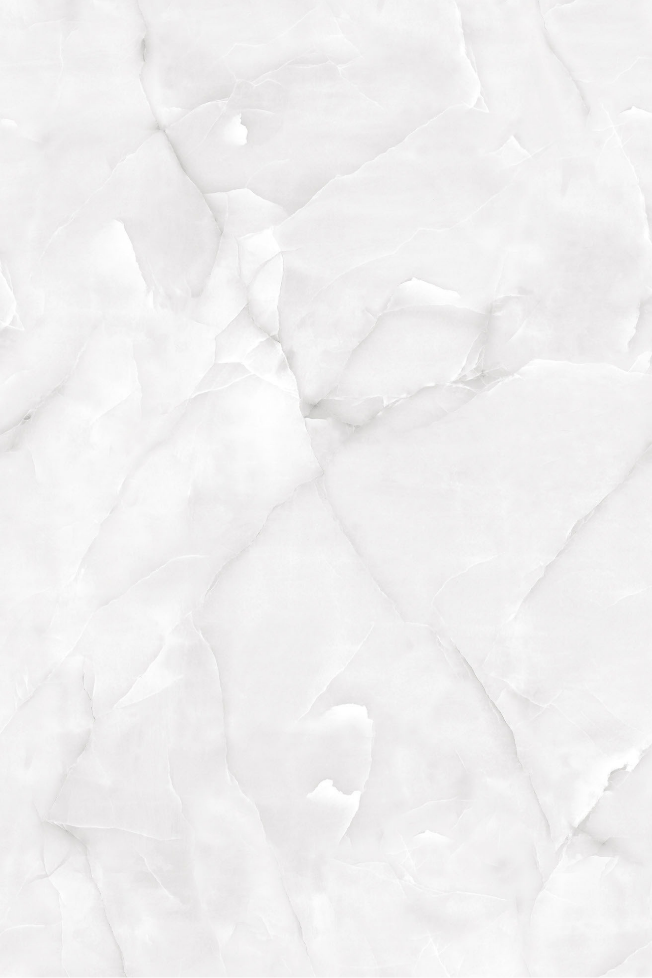 Image of Oyster Onyx