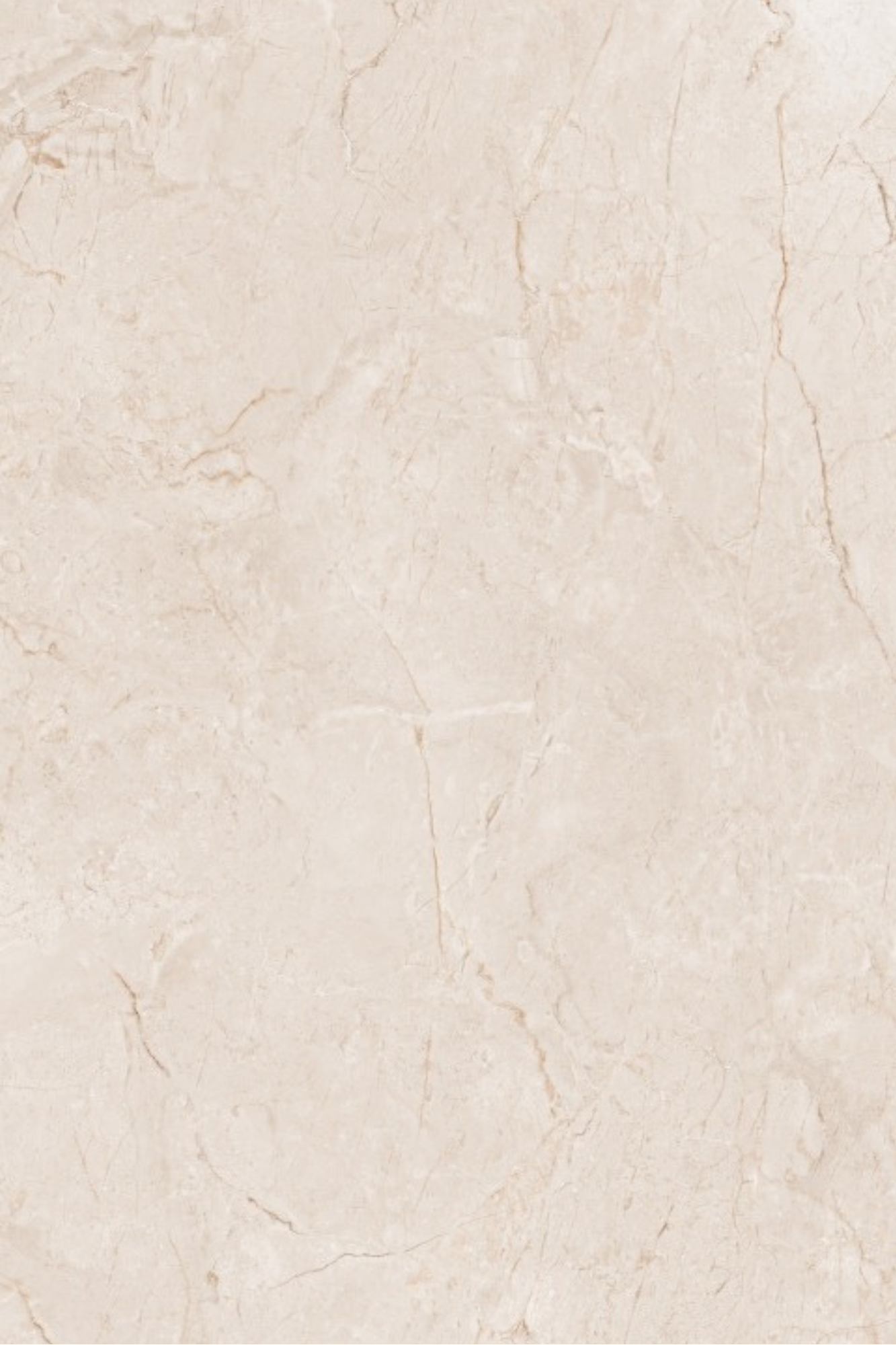 T21 Design Studio®️