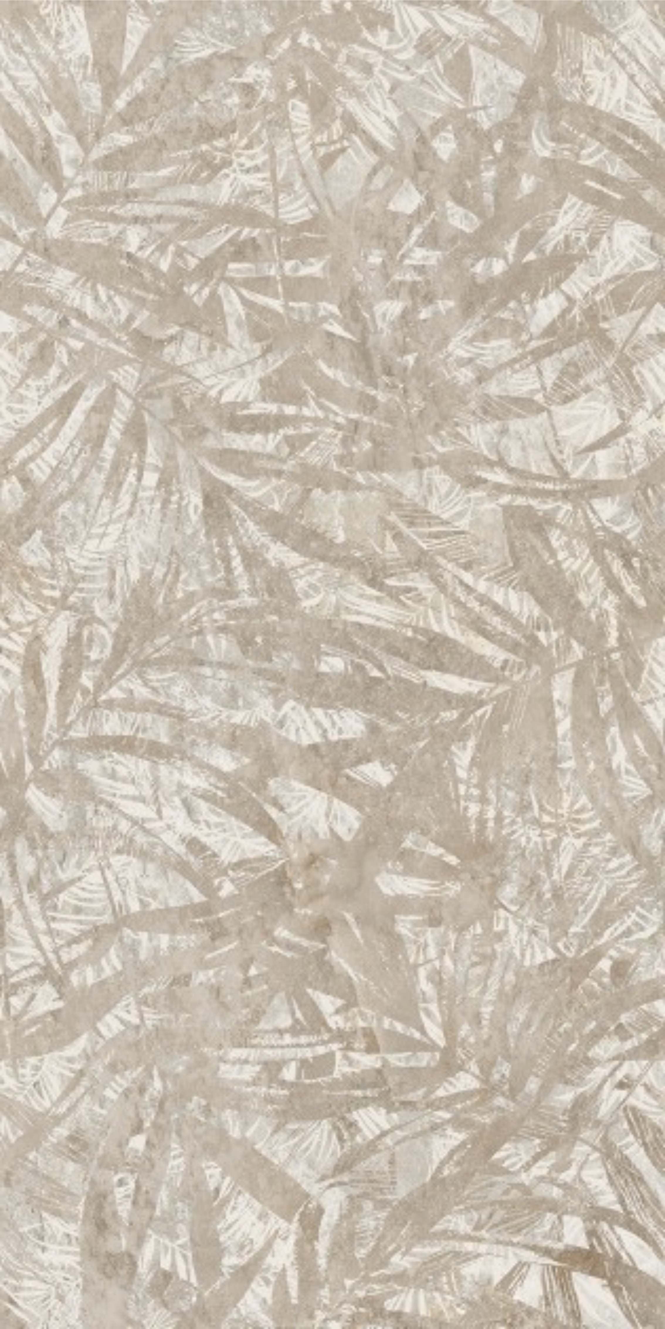 T21 Design Studio®️