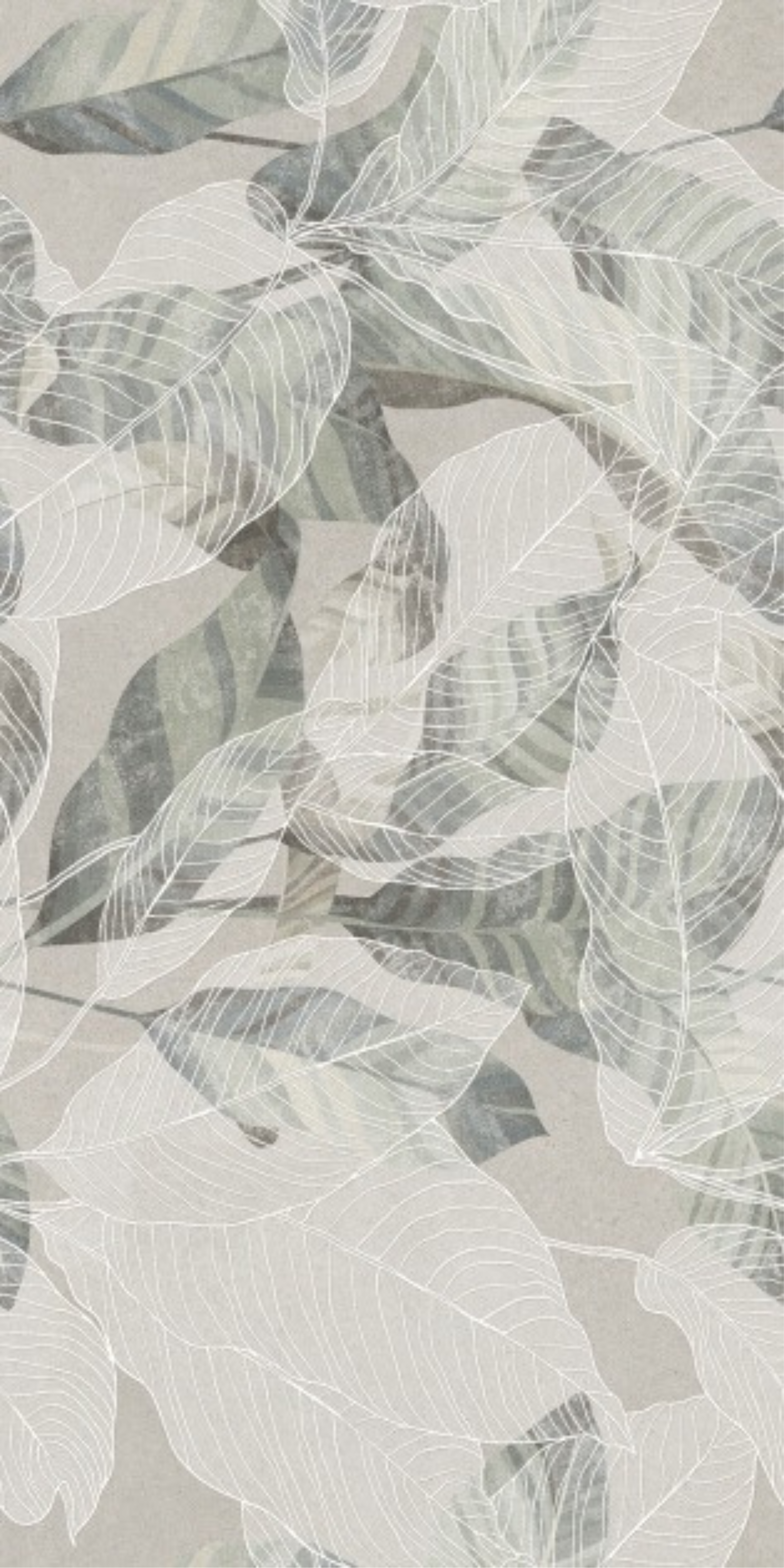 T21 Design Studio®️