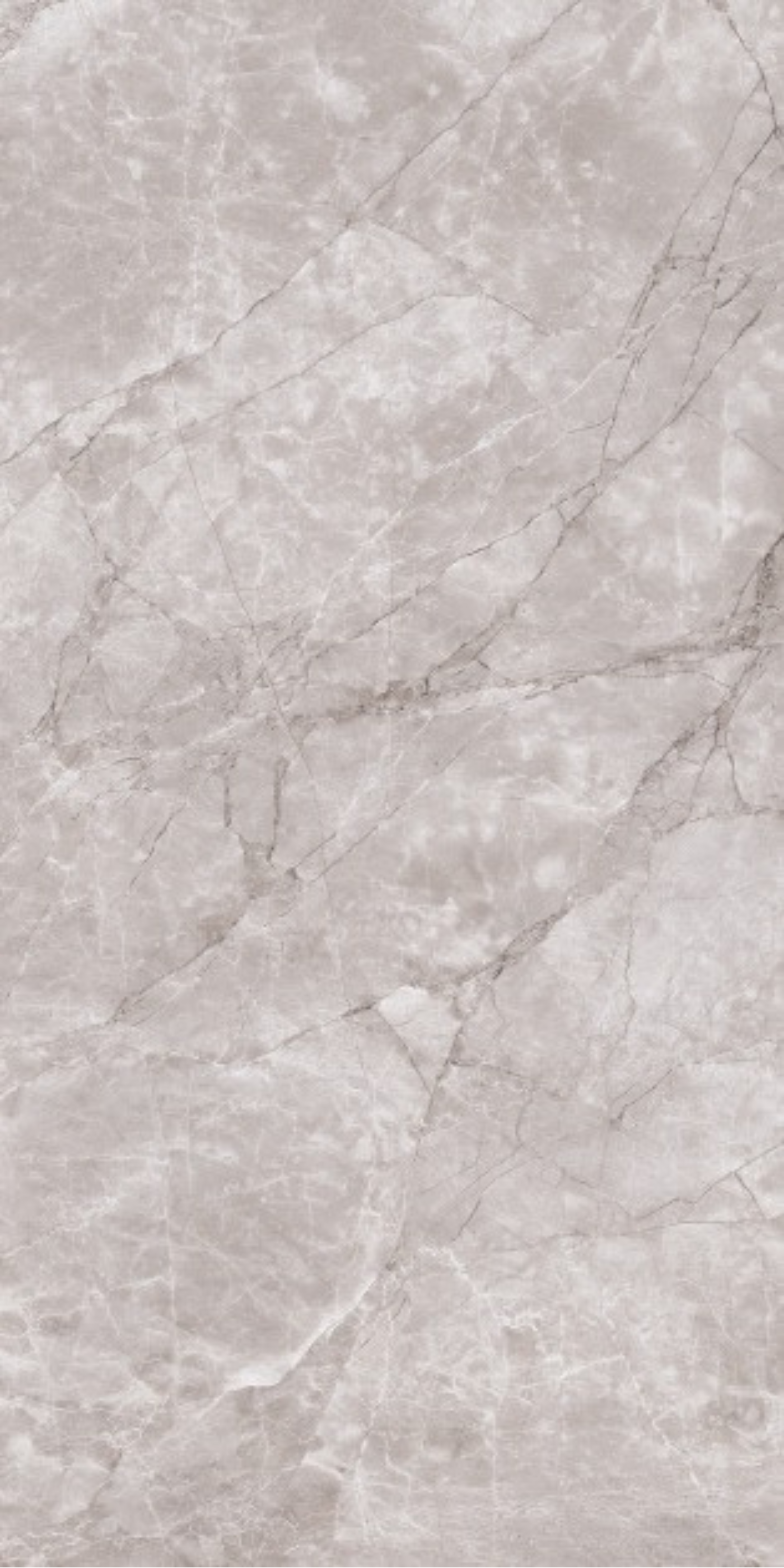 Image of Elite Gris