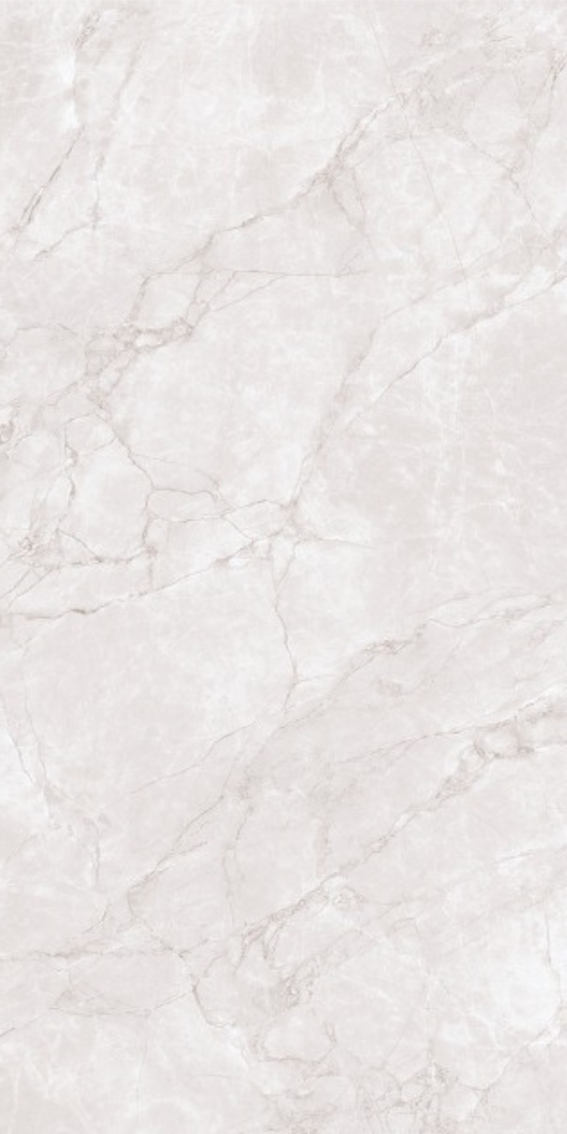 Image of Elite Silver