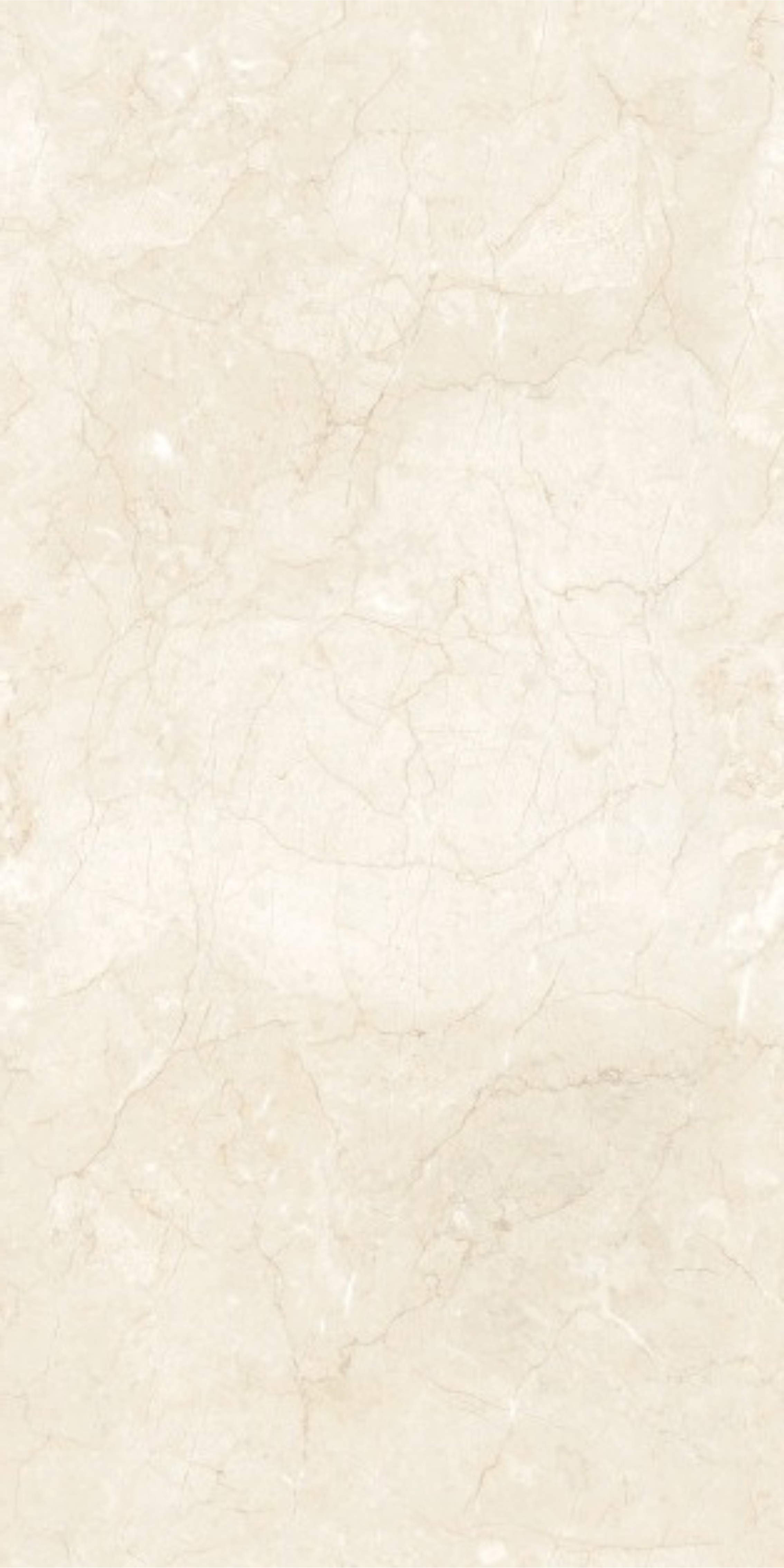 Image of Elnaz Euphoria