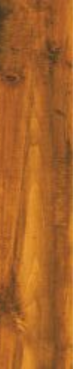 T21 Design Studio®️