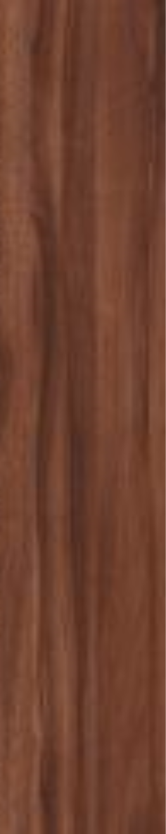 T21 Design Studio®️