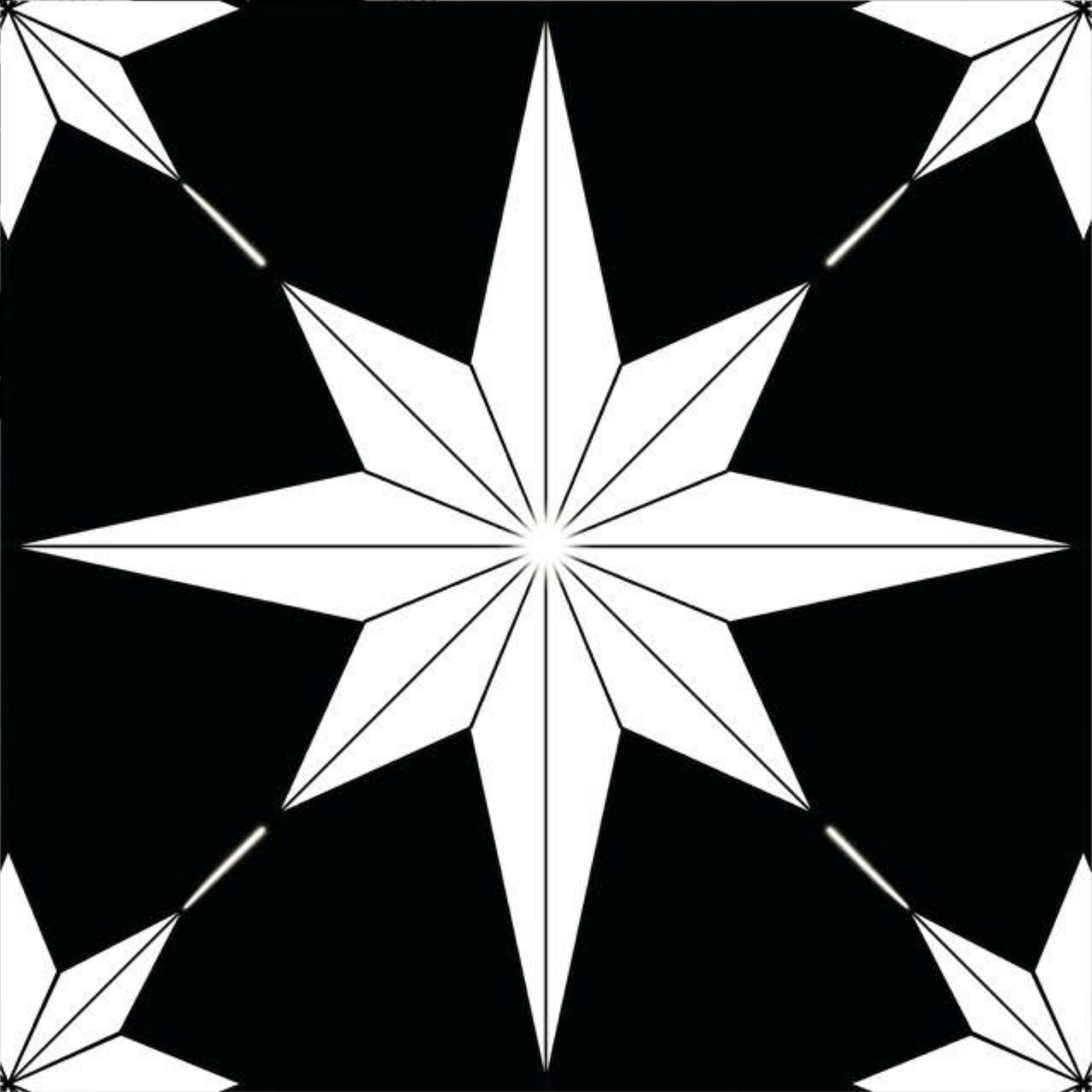 Image of Black Polaris