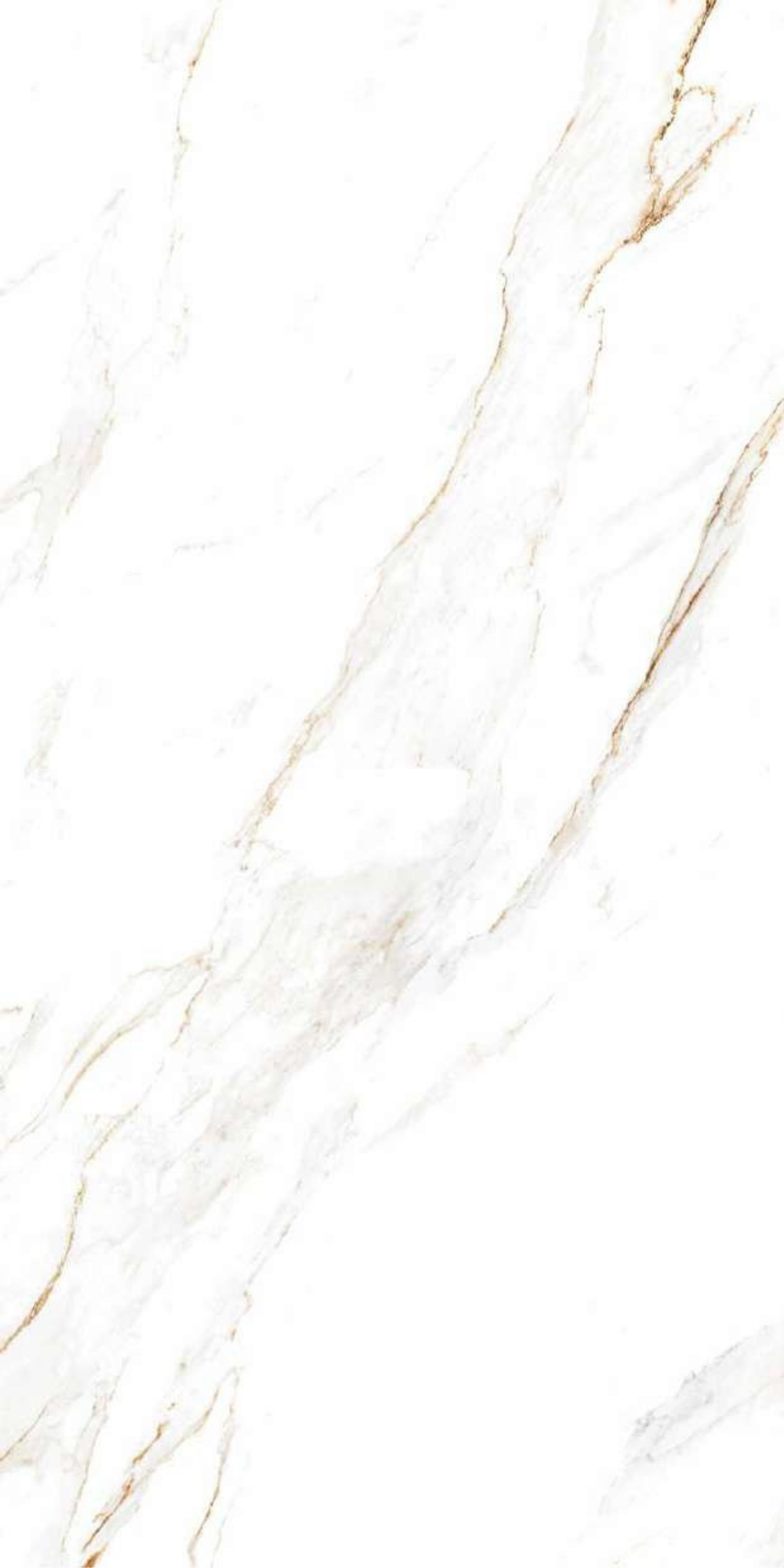 T21 Design Studio®️