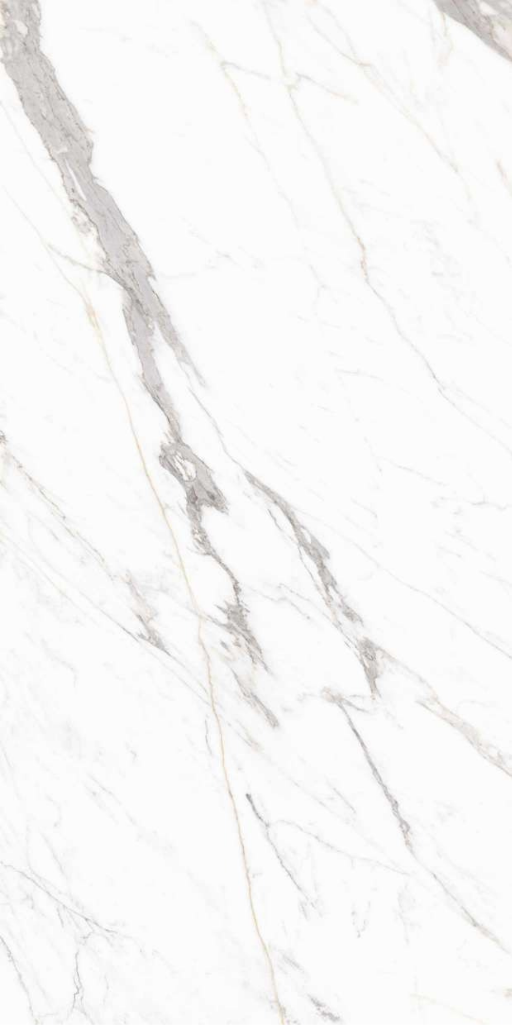 T21 Design Studio®️