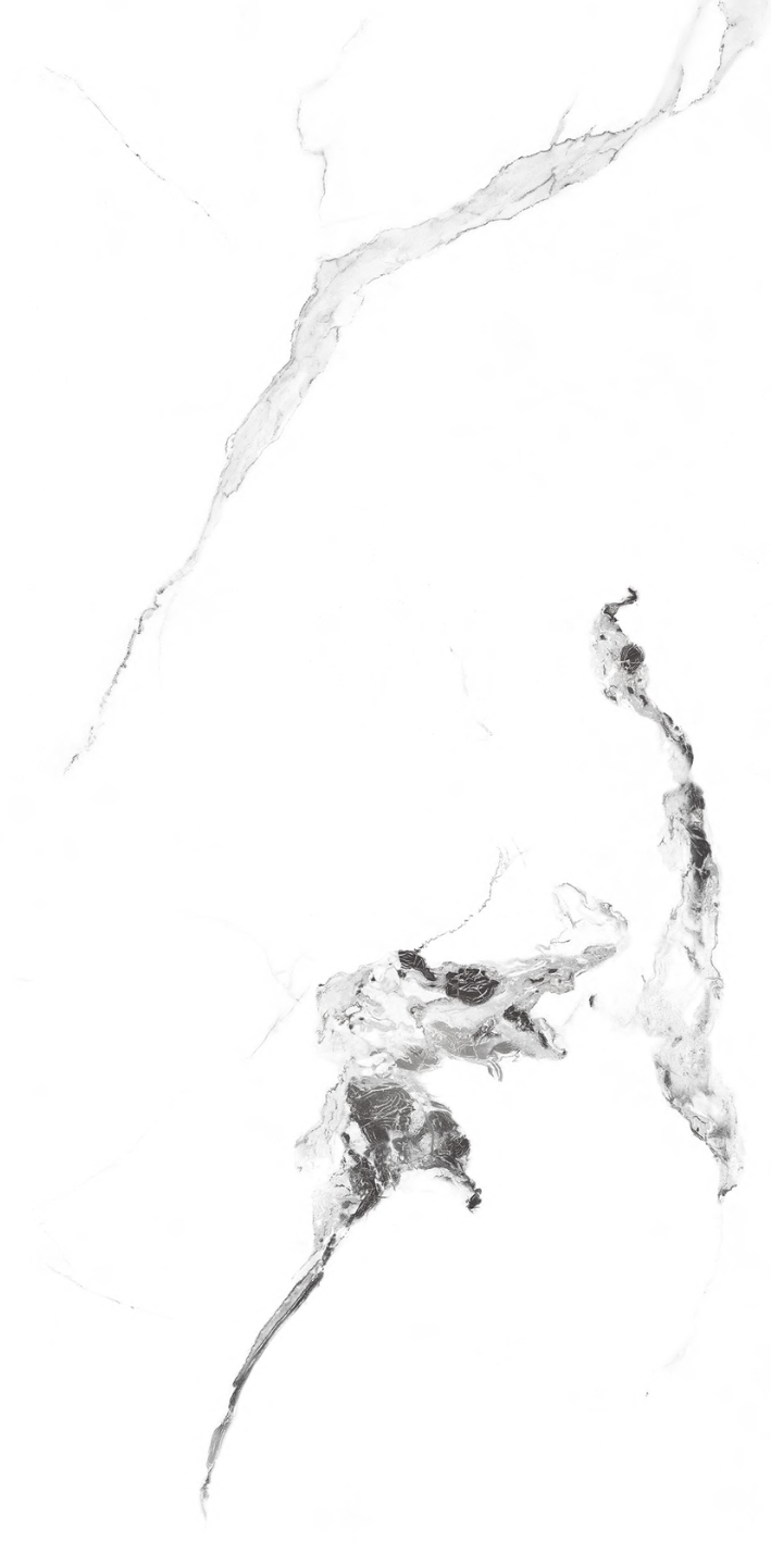 Image of Static Black