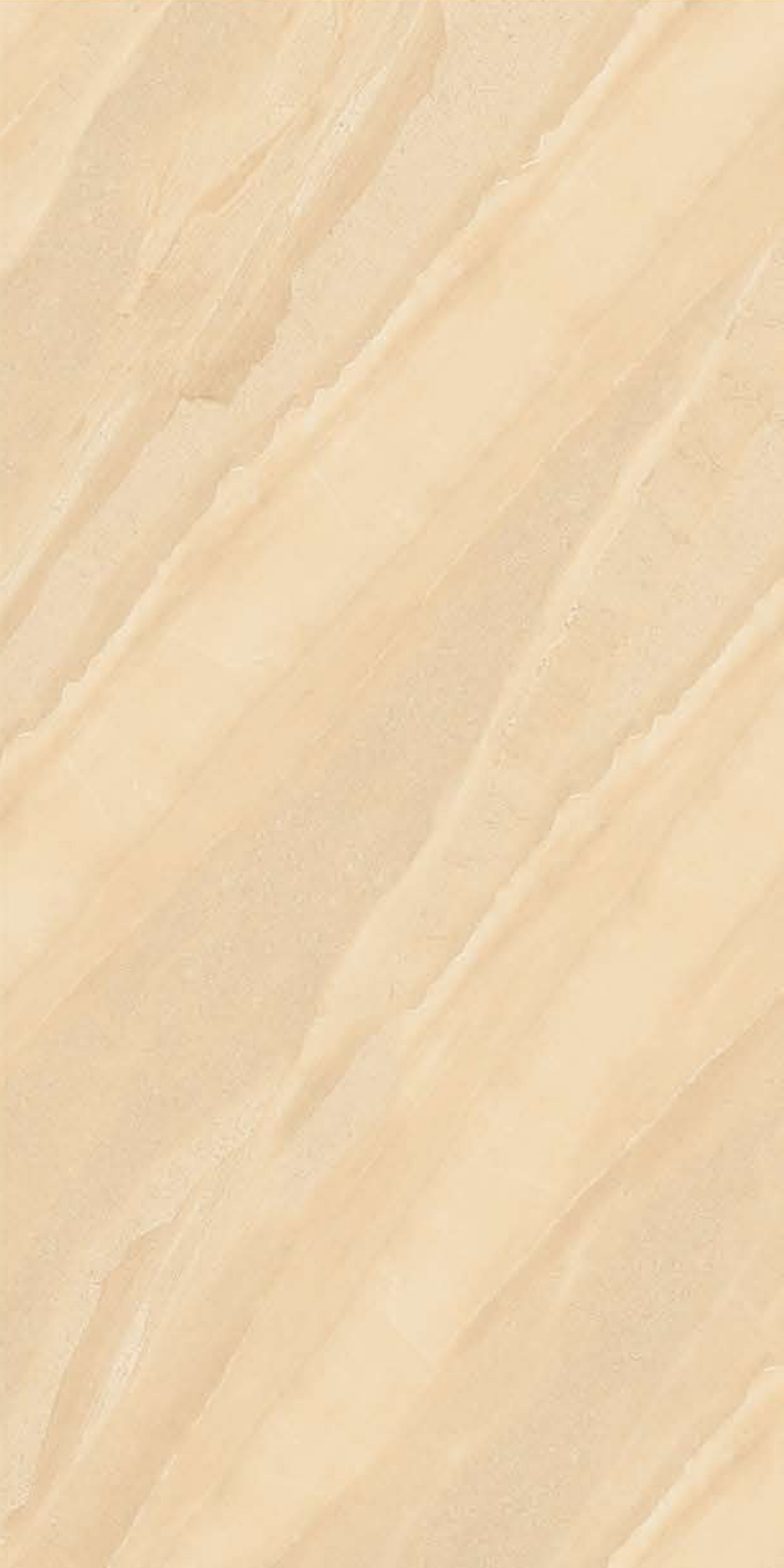 T21 Design Studio®️