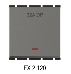 Fybros Grace 32AMP DP Switch 240V