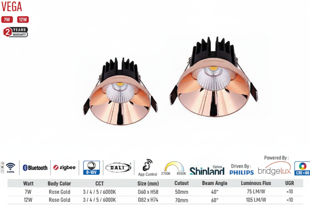 Image of Vega LED Downlight