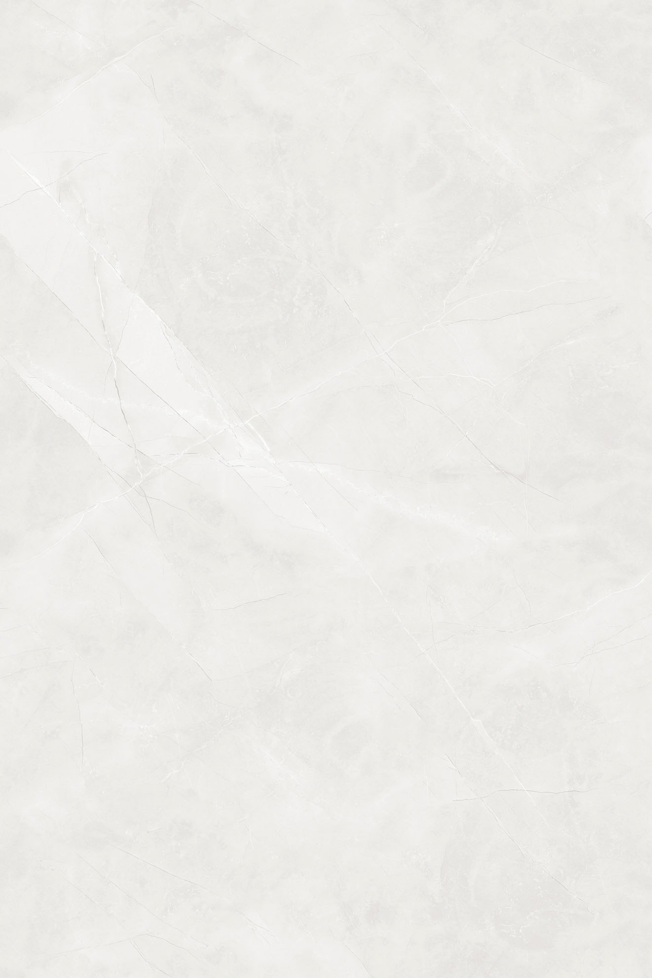 Image of Silky Arezzo