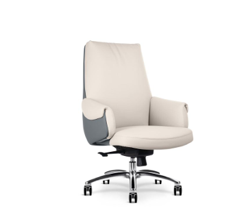 Image of Spectra Executive Office Chairs