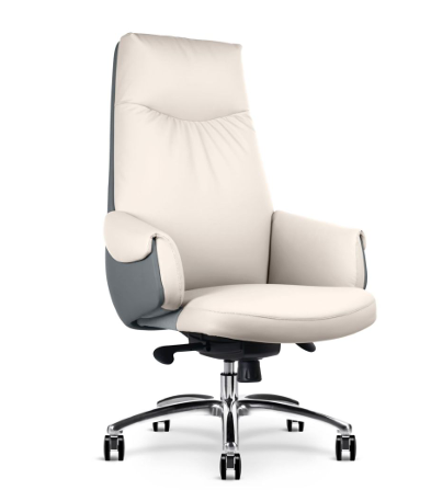 Image of Spectra Executive Office Chairs