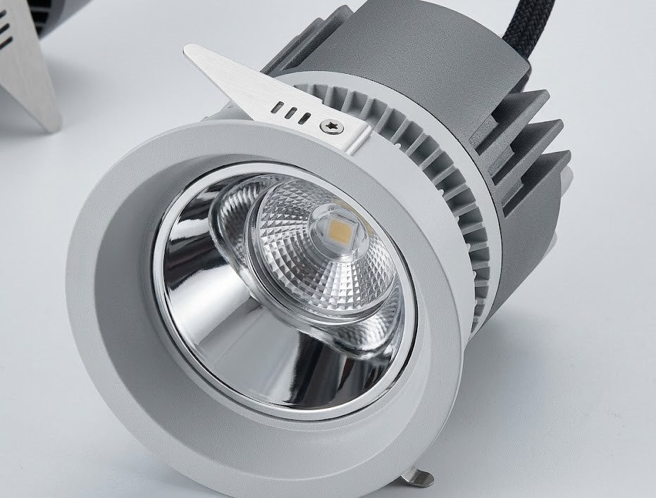 Image of Swing LED Downlight