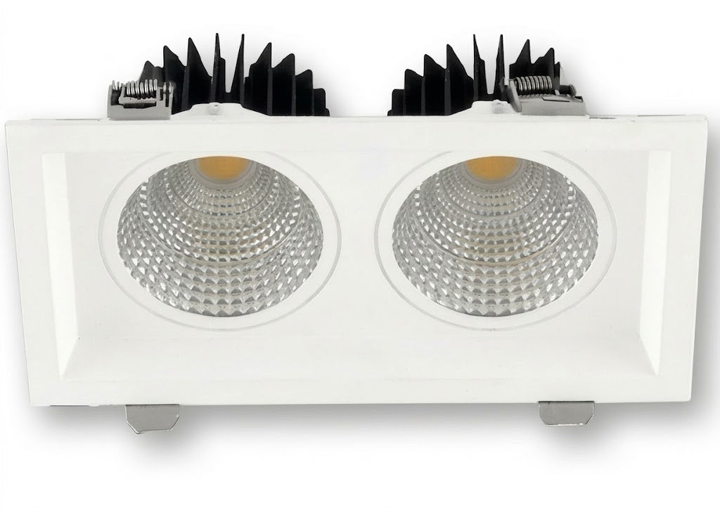 Image of Swop DUO LED DownLight
