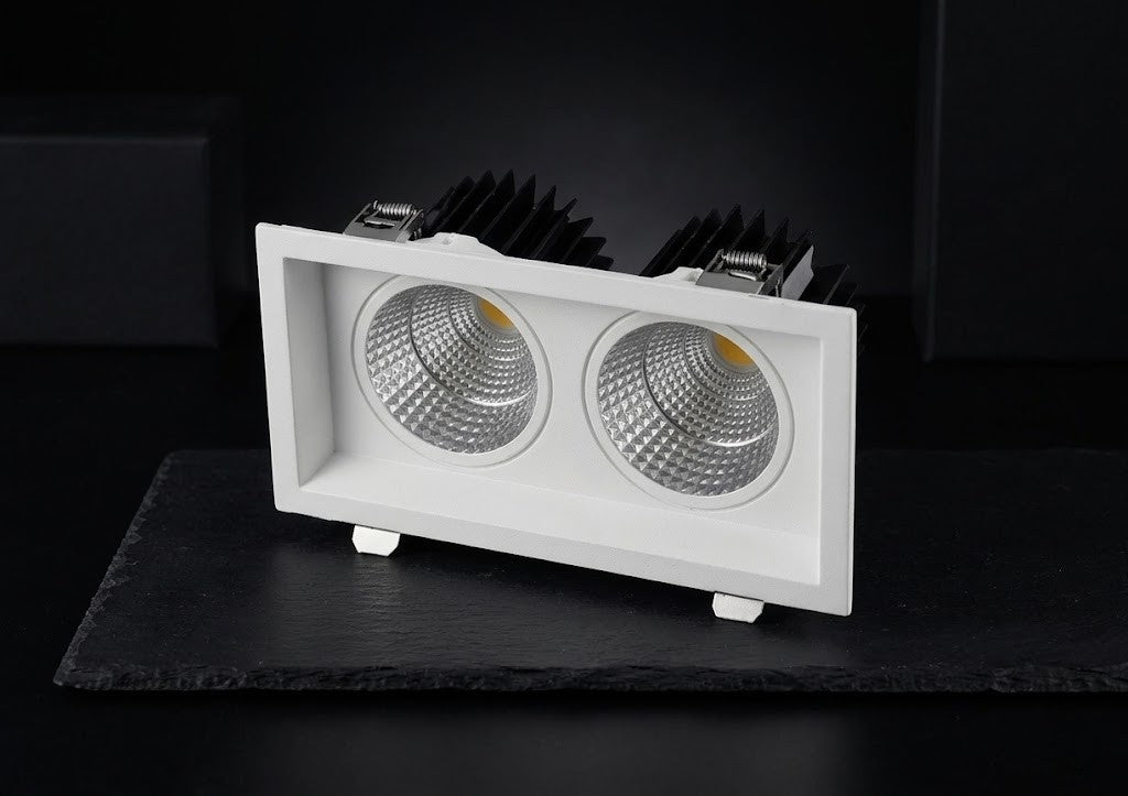 Image of Swop DUO LED DownLight