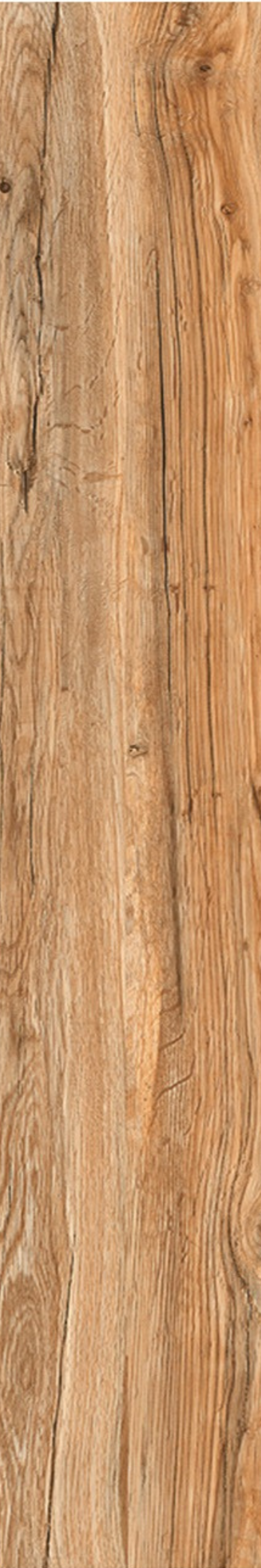 T21 Design Studio®️