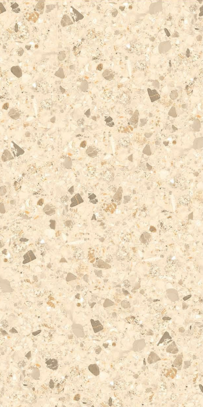 T21 Design Studio®️