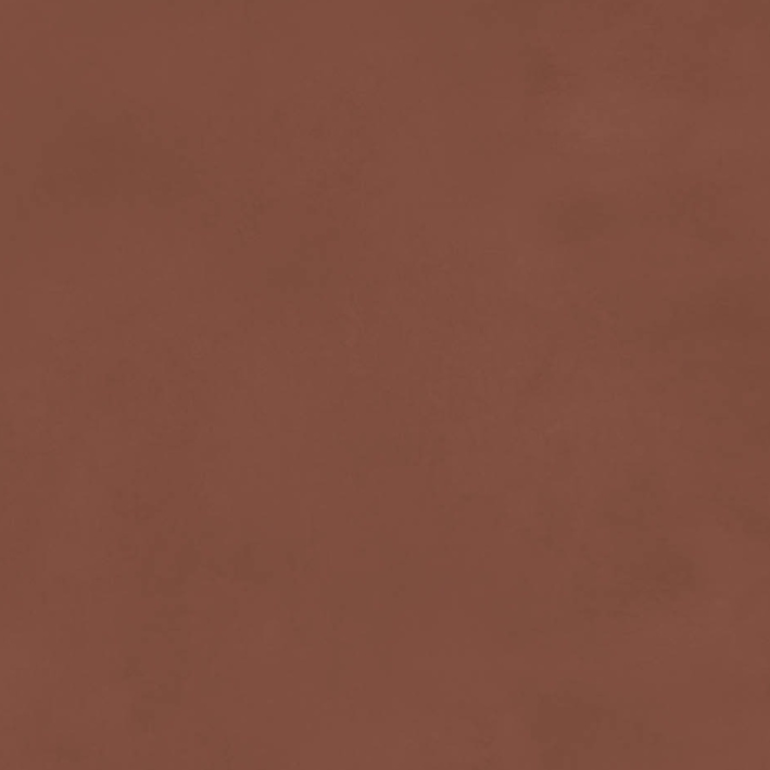 Terracotta Red - The 21st Century Lifestyle