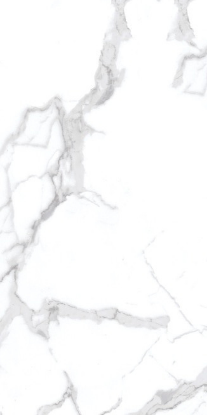 Image of Solid Statuario