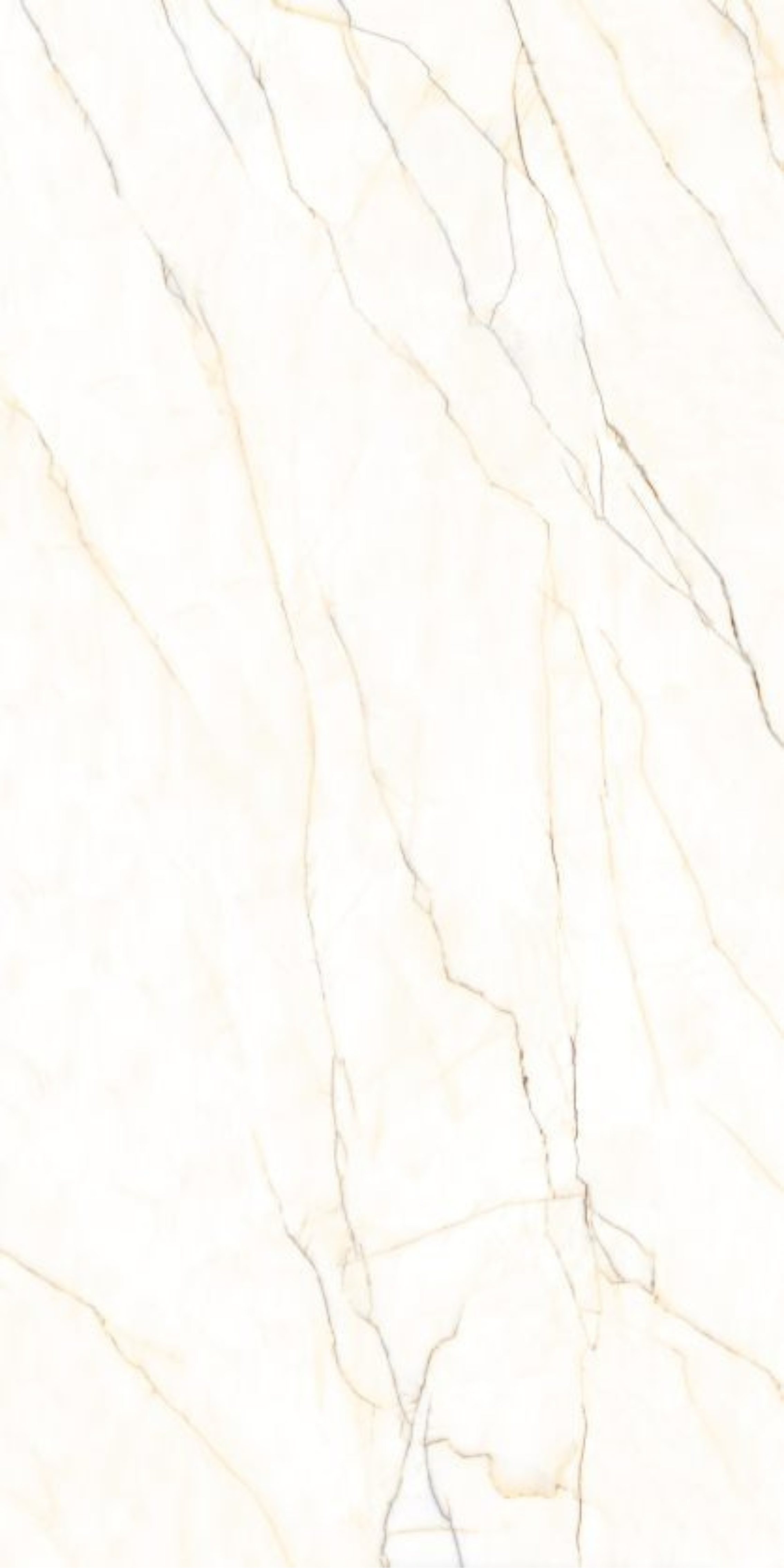 Image of Venatino Veins