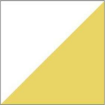 T21 Design Studio®️