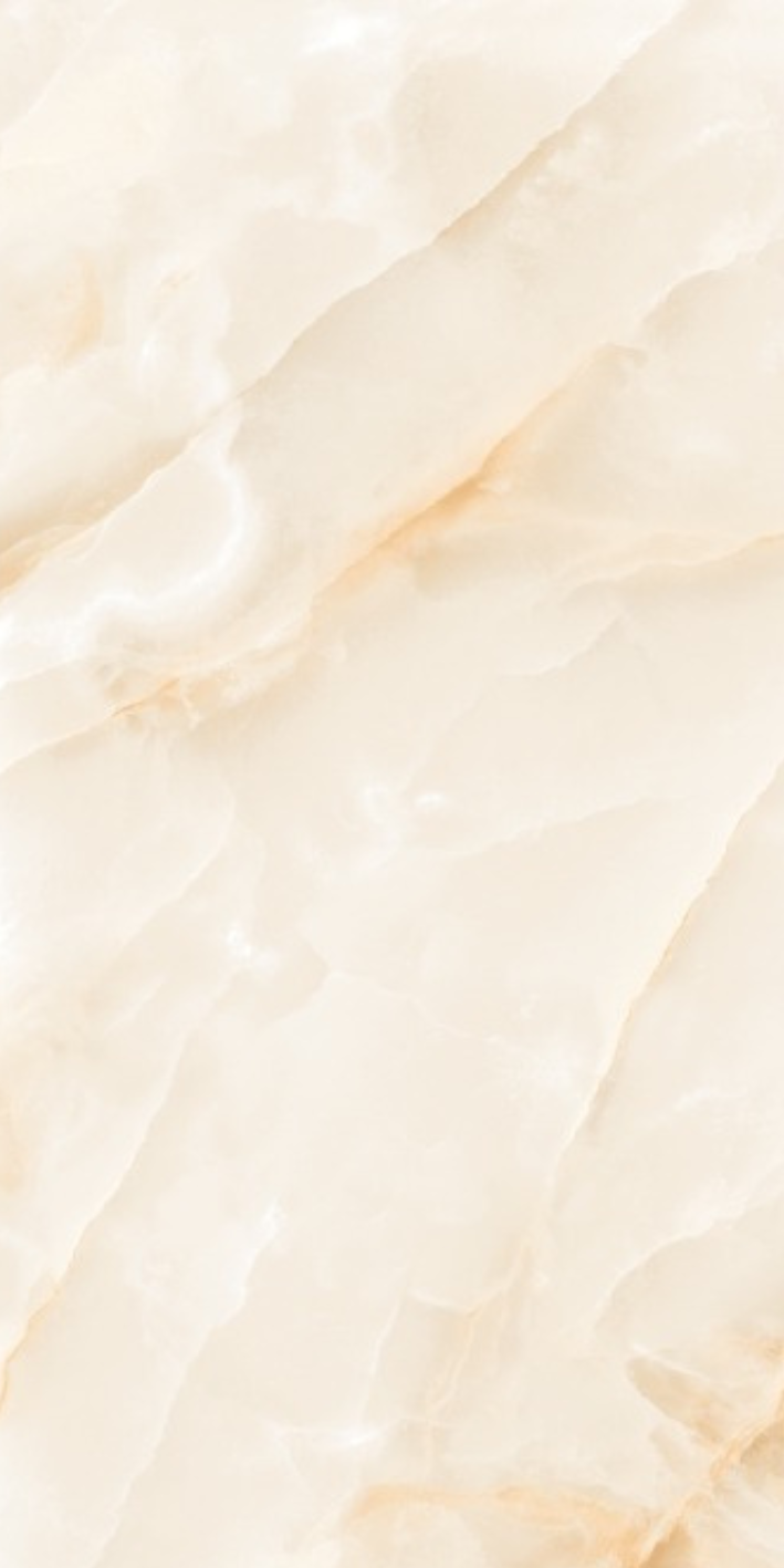 Image of Oyster Shell